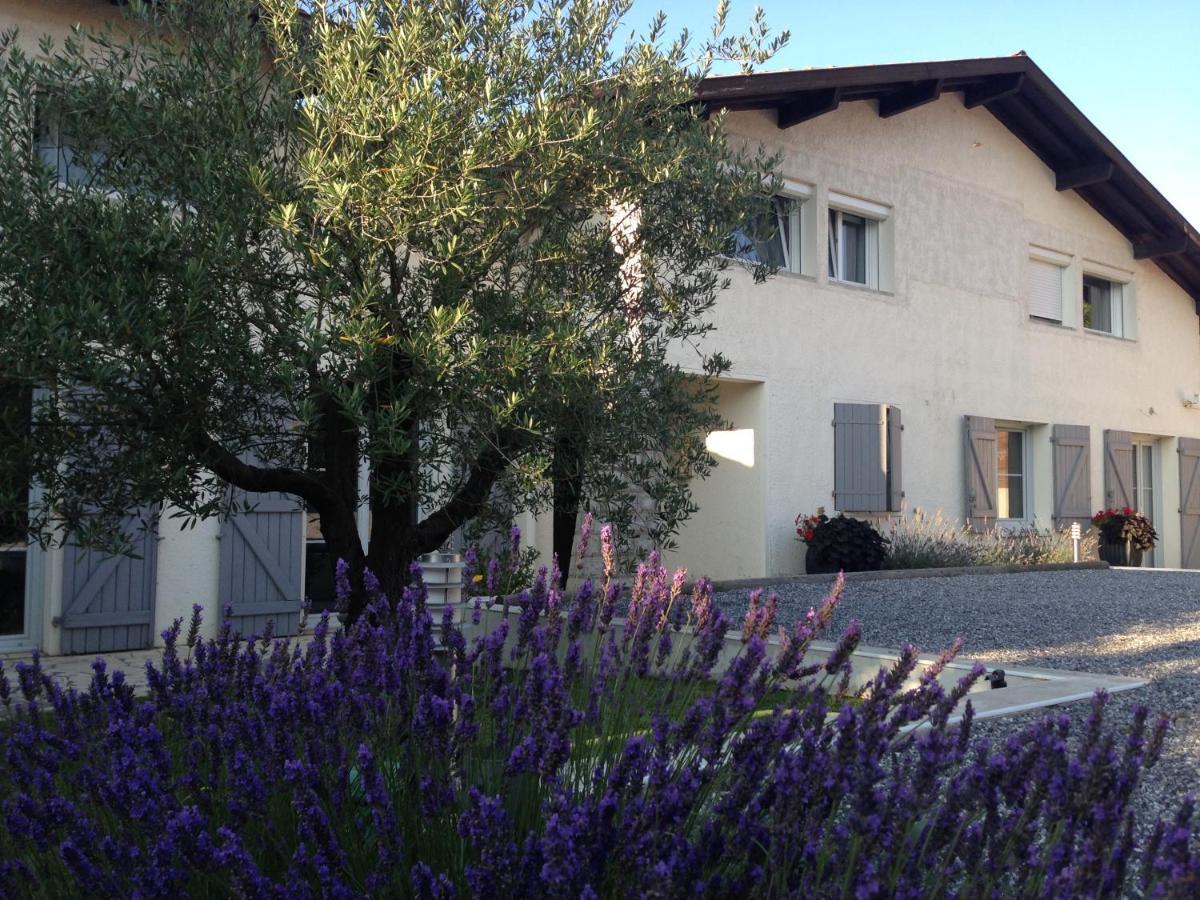 Aux Sources D'Hossegor Bed and Breakfast Soorts-Hossegor Exteriör bild